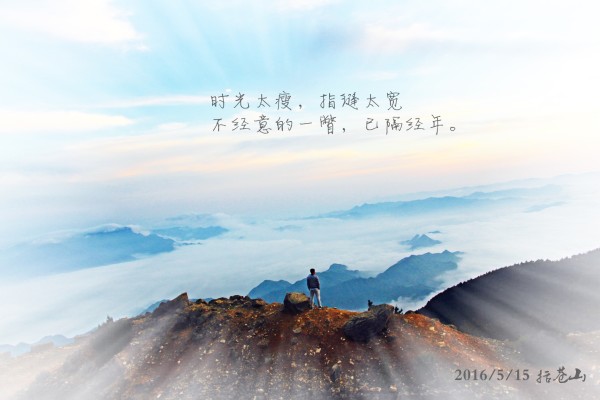 专家解析（日行千里）猜一动物