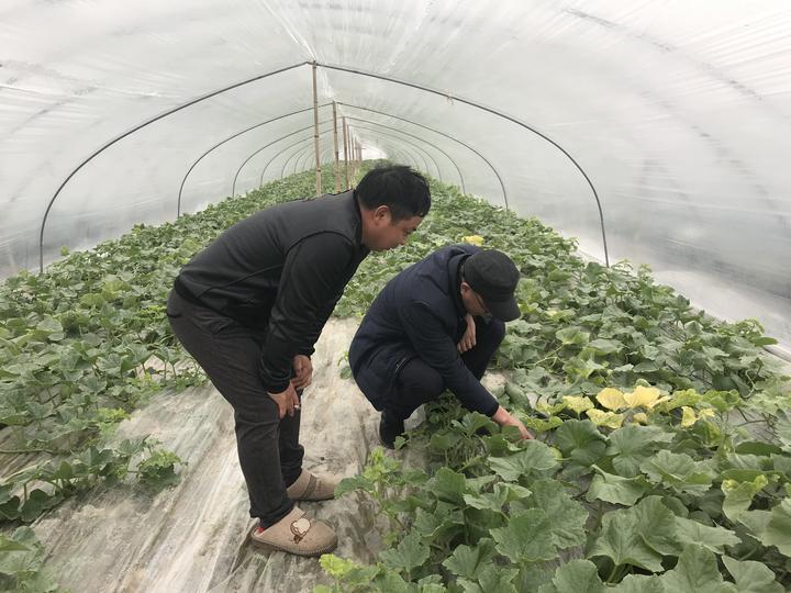 业内点评:四五二十合二码，东方取肖辰寅卯猜一生肖