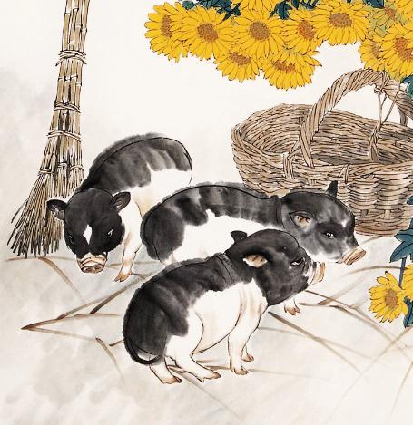 专家解析:五色祥云满乾坤，定特句朝三暮四开过什么生肖