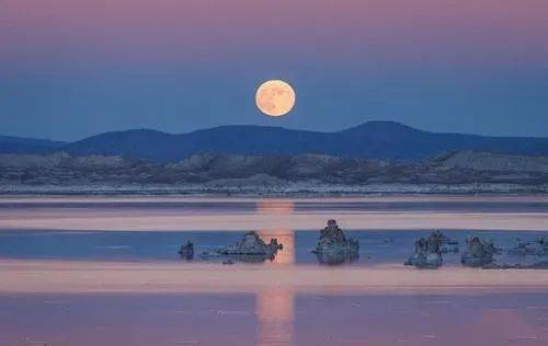 专家解析:买猴输尽光，三两点鸥沙外月。代表什么生肖