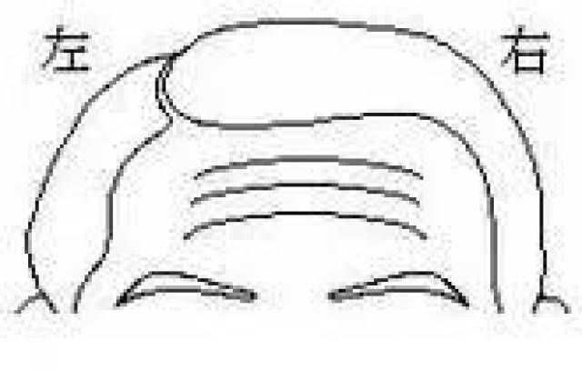 趋势研判:四五二十合二码，东方取肖辰寅卯代表什么准确生肖