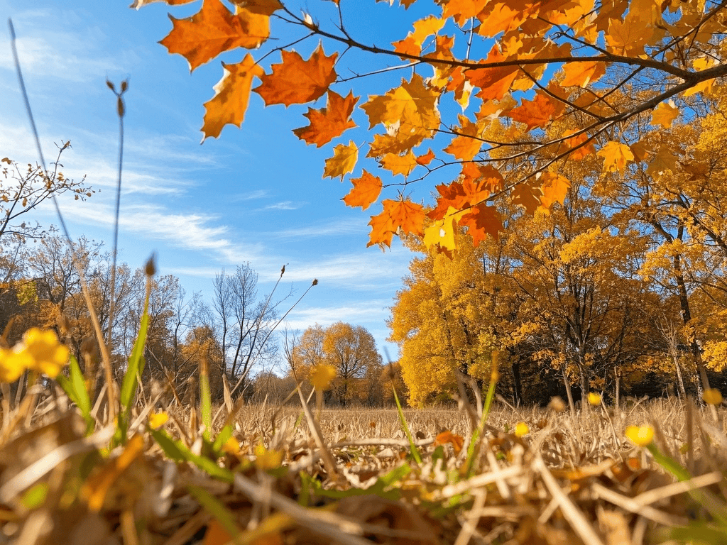 全面阐释（独有干秋）猜本期生肖