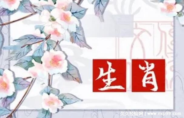 独家专访:特码猜出是美人，蓝红开出生肖东指什么生肖