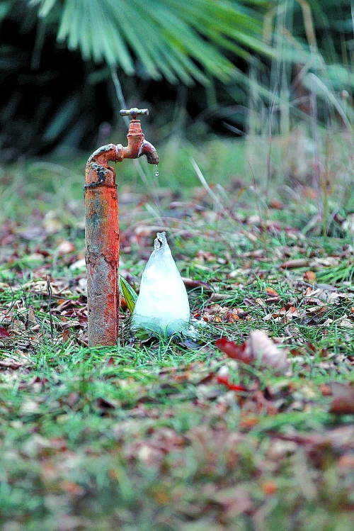 首发资讯:滴水成冰指什么生肖
