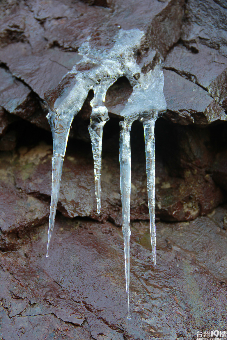 行家点评:滴水成冰正确答案动物