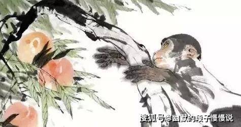 圈内解读:千金纵买相如赋猜本期生肖