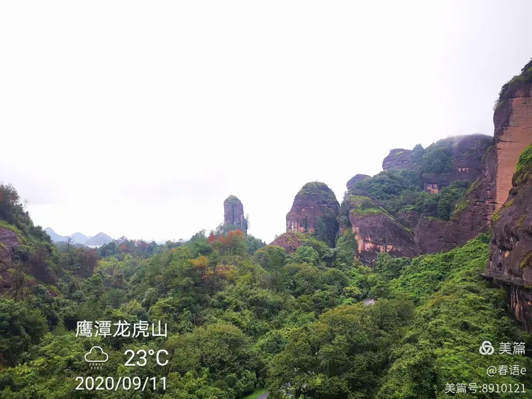 家点评（龙山虎山两相朝，有情才有好风光。猜本期数字