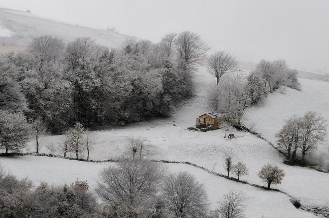 圈内揭秘:三径清风似水流打一动物谜底