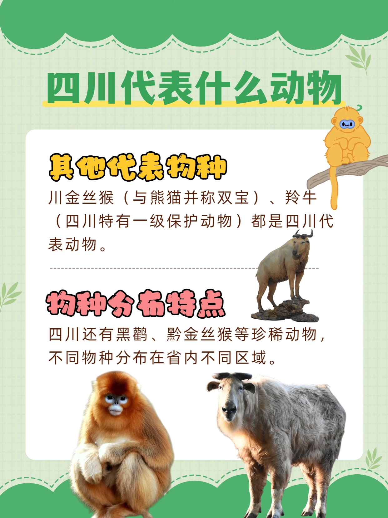 独家视点（楊门女將）代表什么动物