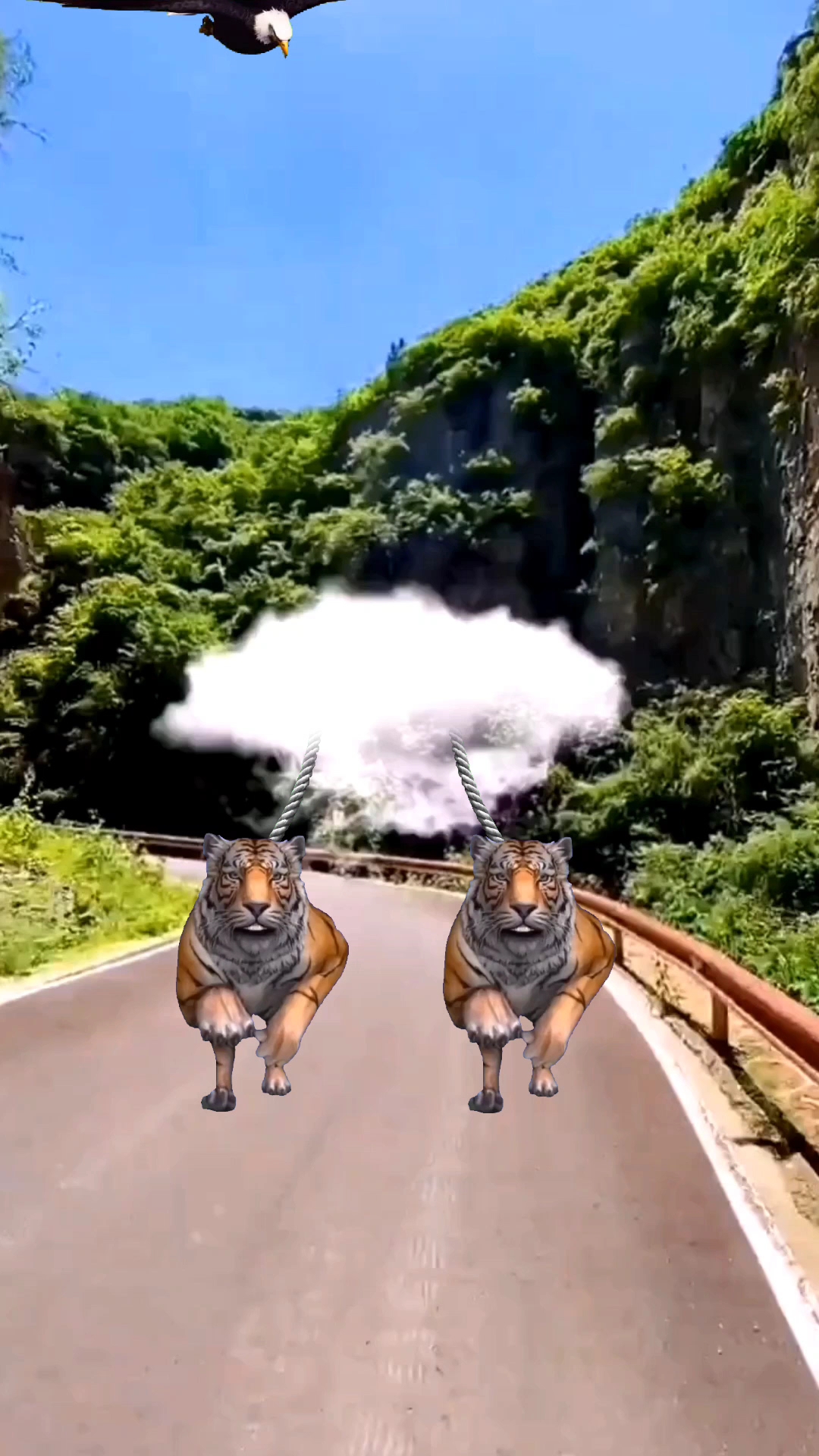 技术阐释:腾云驾雾正确答案动物