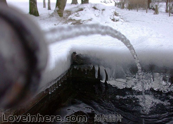 权威解读:滴水成冰本期生肖