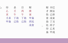 深度报道（点破玄机才知五）正确答案动物