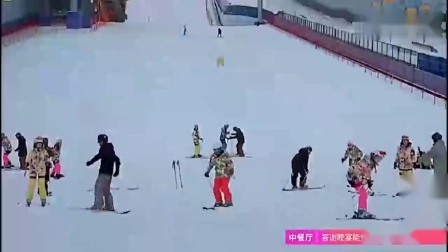 独家观察:双波行运在其中，来去自如声飞扬。猜一准确动物