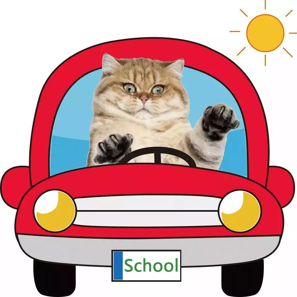 独家解读:文思如泉猜本期动物