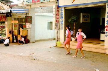 权威解读:双波行运在其中，来去自如声飞扬。猜一准确数字