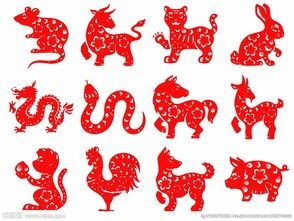 逐项解读（龙山虎山两相朝，有情才有好风光。代表什么生肖