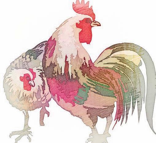 趋势研判:死前放屁又叫什么？绝响代表什么生肖