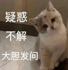 圈内解读（一本正经）猜动物