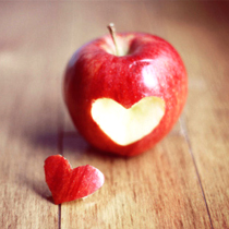 条理讲解:四海为家打一准确动物