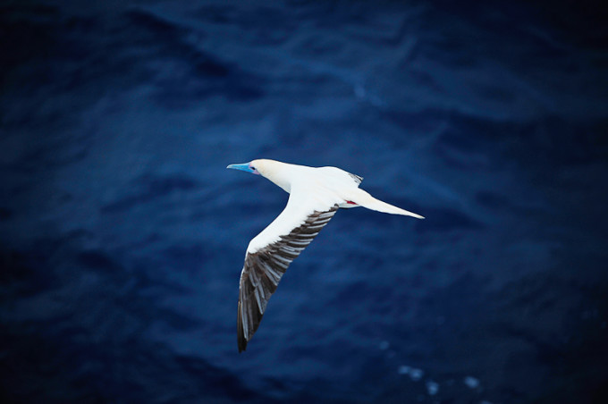 业内点评:买猴输尽光，三两点鸥沙外月。猜一准确数字