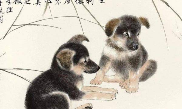 首发资讯:找朋狗友的生肖指代表是什么生肖