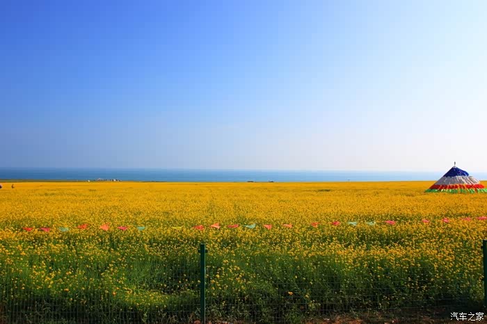 视角拆解（龙山虎山两相朝，有情才有好风光。打一最佳生肖