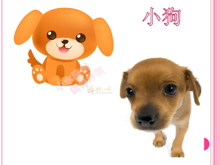 学术阐释（陶恭祖三讓徐州，曹孟德在戰呂布）猜一动物