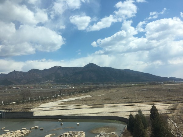 独家解读（龙山虎山两相朝，有情才有好风光。开过什么生肖