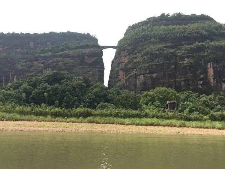 家点评（龙山虎山两相朝，有情才有好风光。猜本期数字