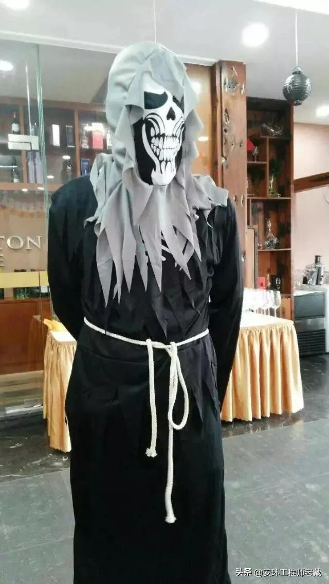 热点剖析（猪狗不如）代表什么动物