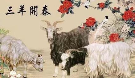 热点剖析:欲钱买四海为家的动物打一最佳生肖