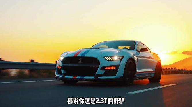 圈内解读（扮猪吃虎）代表什么动物