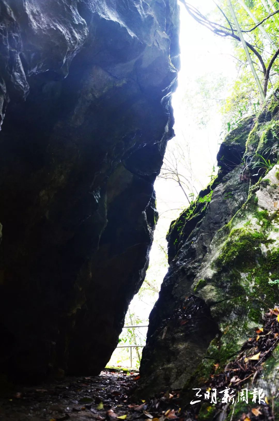 独家观察（一七有码二四寻，三三灵码出物垭）是什么生肖