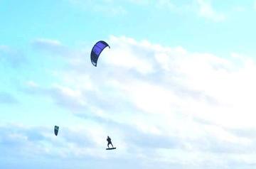 权威解读:双波行运在其中，来去自如声飞扬。猜一准确数字