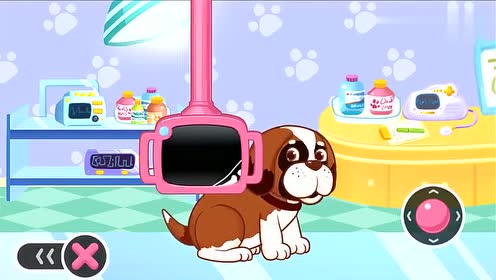 行家点评:龙飞凤舞—自相惊扰是什么生肖