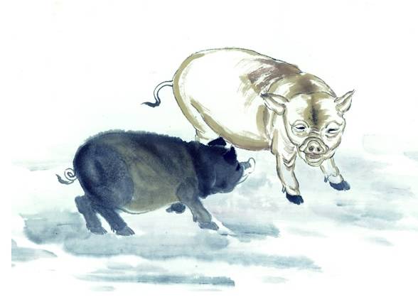 专家解析:五色祥云满乾坤，定特句朝三暮四开过什么生肖