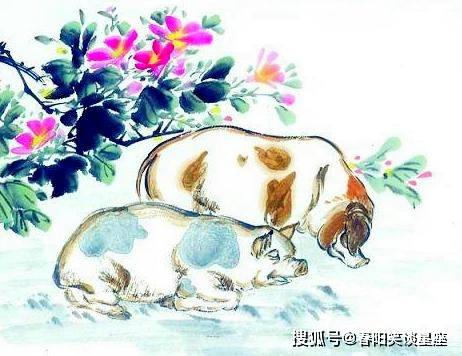 独家专访:望而生畏不敢进指打代表一最佳什么生肖