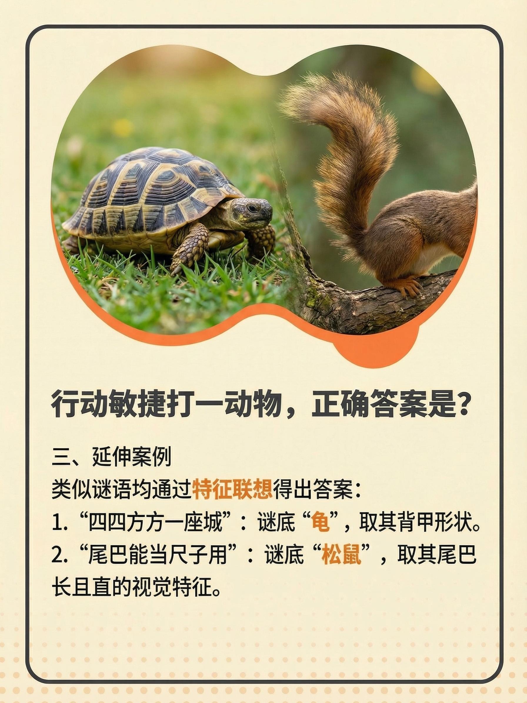 一手资讯:技巧敏捷打一动物谜底