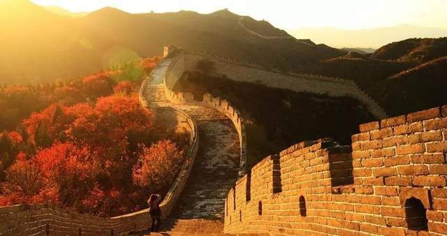 权威解读（欲钱飞上蓝天空，长城内外尽朝绿）比喻什么动物