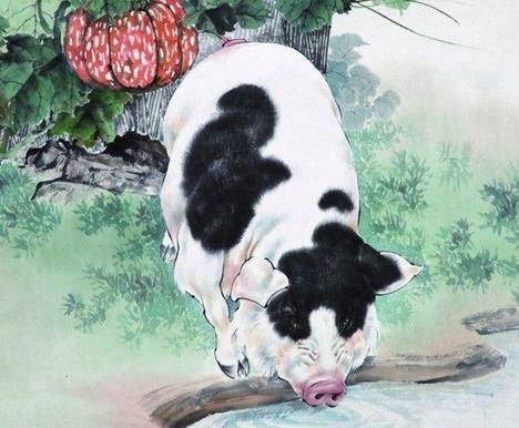 权威解读:历来富贵三更梦打一准确生肖动物