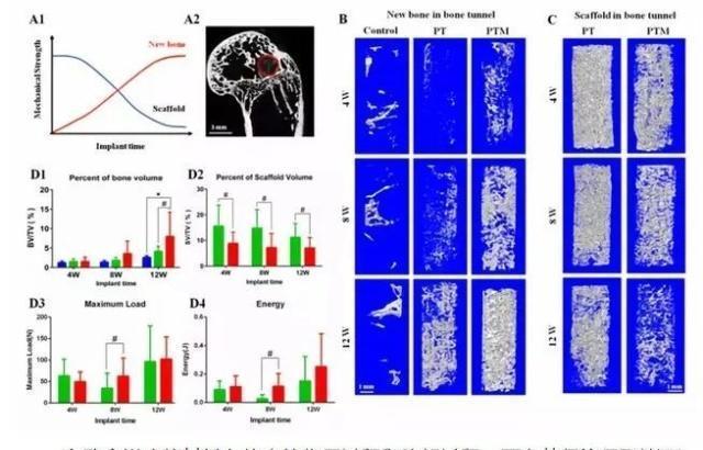 视角拆解:滴水成冰代表什么动物