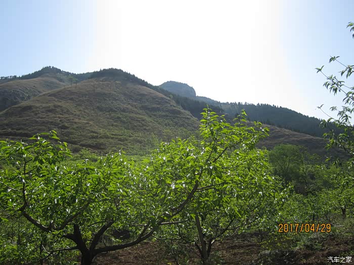 独家解读（龙山虎山两相朝，有情才有好风光。开过什么生肖