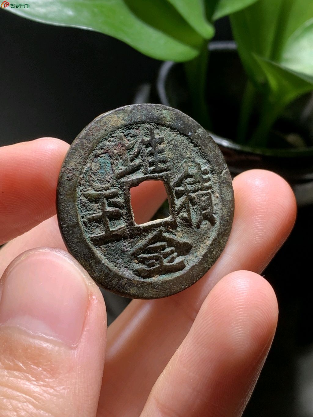 内幕披露（山中里面有阴木，堆金积玉吉言欢）最正确生肖