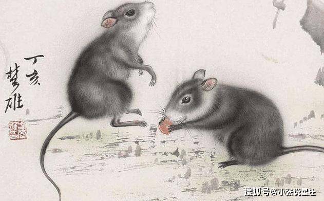 权威解读:历来富贵三更梦打一准确生肖动物