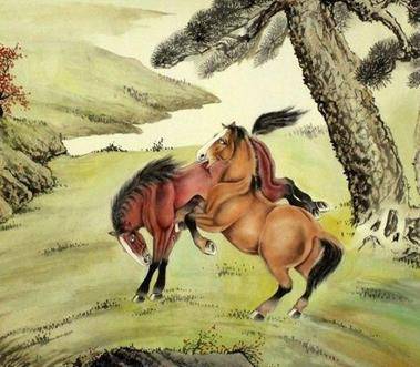 圈内解读:千金纵买相如赋猜本期生肖