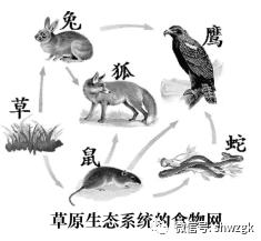 圈内揭秘:大有径庭正确答案动物