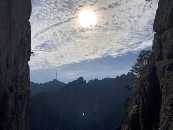 业内点评:胎生卵孵口含毒，十七山色四五看指打代表一最佳什么生肖