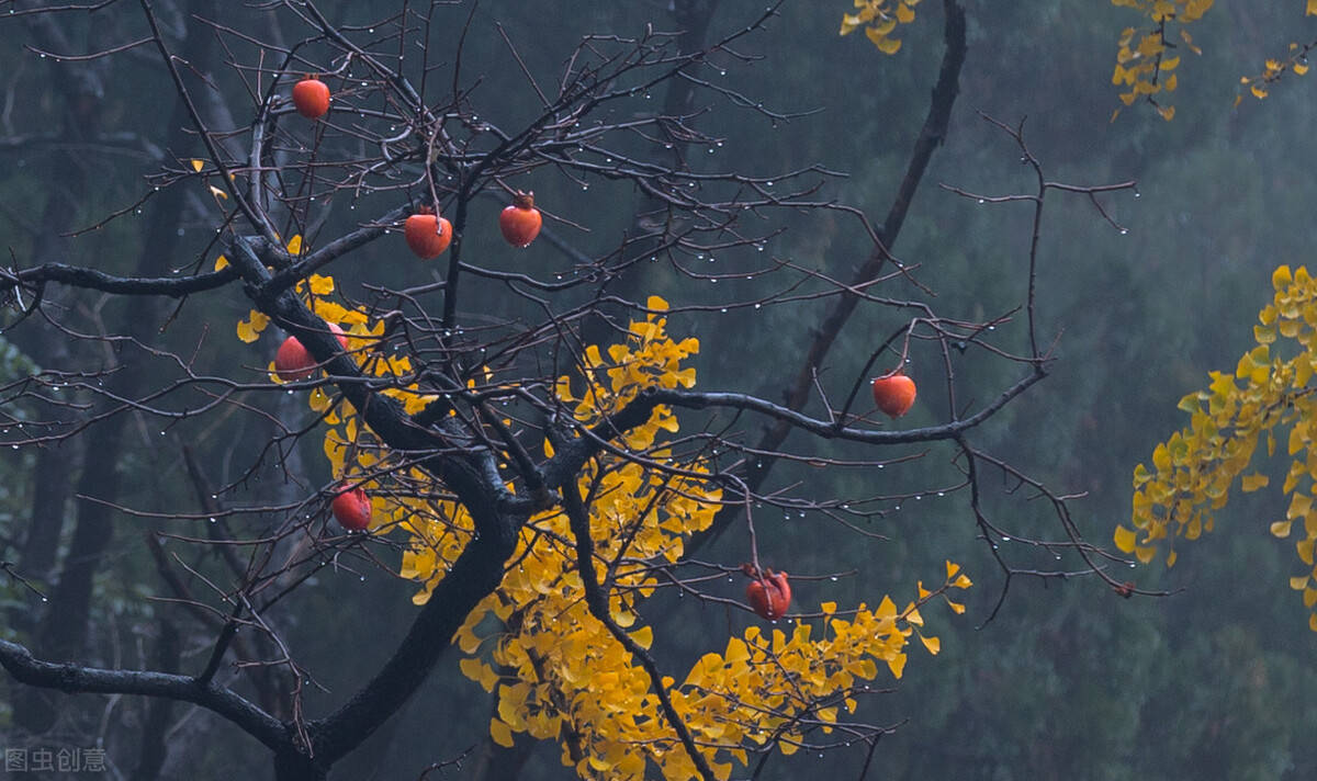 全面阐释（独有干秋）猜本期生肖