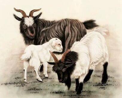 特讯:洋洋得意代表什么动物