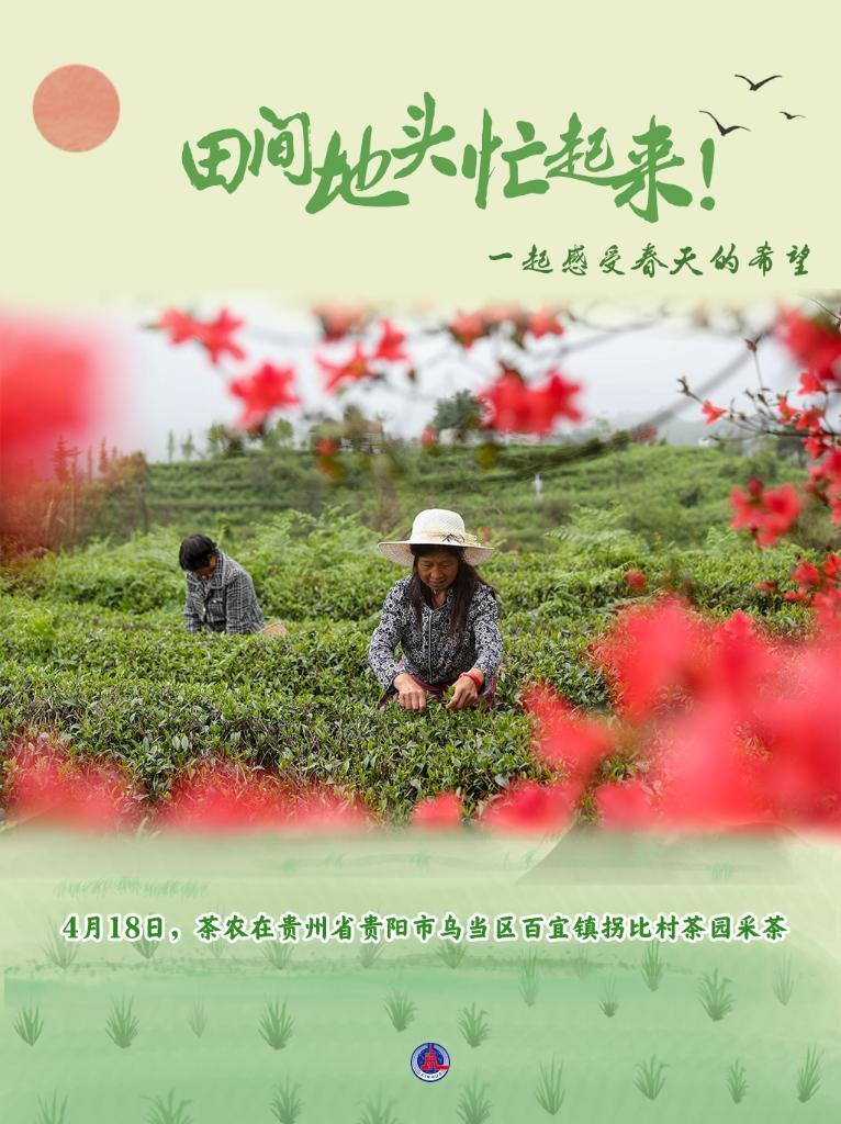 深度剖析:一年四季春为首，勤劳人家忙地头开过什么生肖